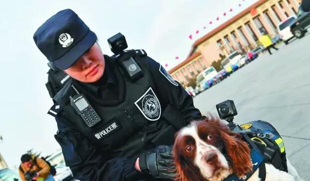 兩會(huì)期間警犬配VR